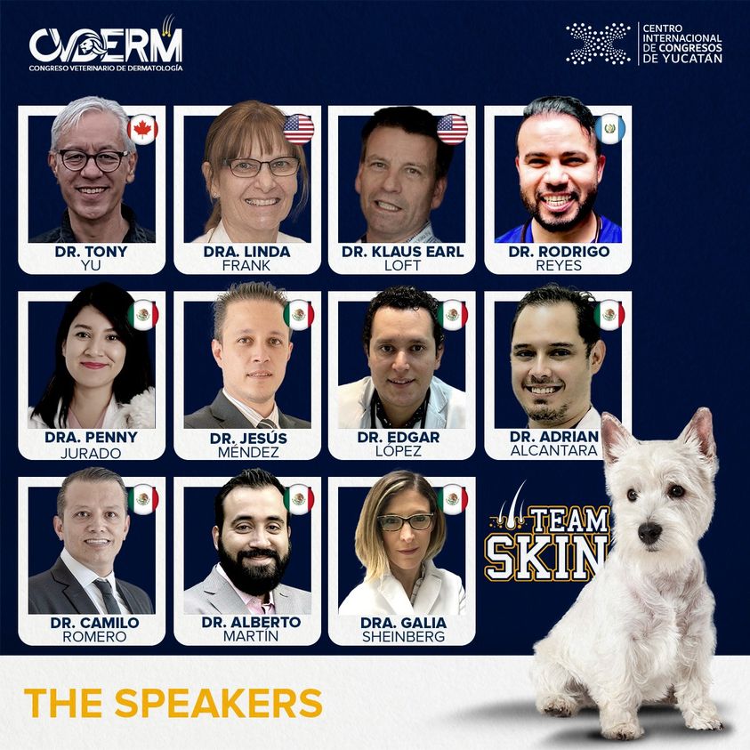 SQUENDA's tweet photo. 📍 Congreso Veterinario de Dermatología
📅 06 al 08 de marzo 2024
😉 Organiza: #CVDERM
📍Mérida, Yucatán
🌐Registro: https://t.co/7BDRfqQBqY
#CMGROUP #EventoPresencial #CongresoVeterinario https://t.co/931rEhp1Xm