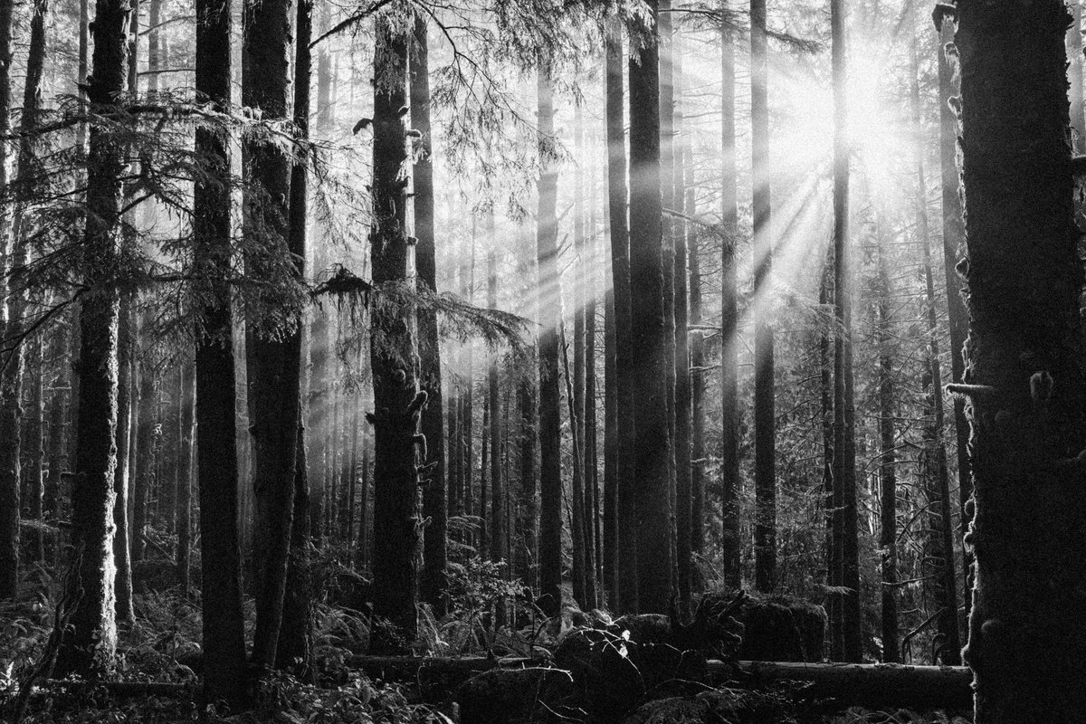 Robin Férand tweet media