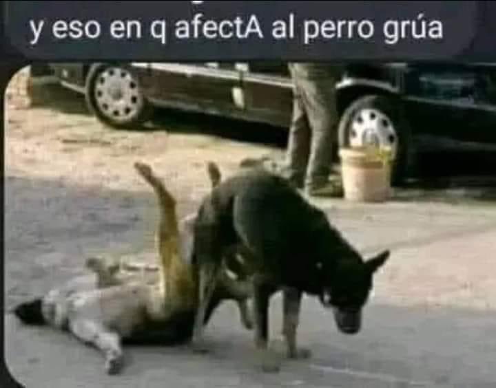 alex7788288388's tweet photo. @yerimua A quien en verdad le afectará ??? https://t.co/iNcjbFDyeY