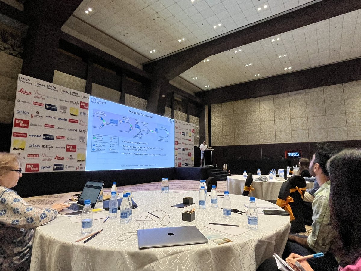 Mdmahtab1234's tweet photo. "It’s great to hear top minds at #EMBOworkshop for insights on DNA damage response and chromosome instability in India. 🧬 @PisaniLab 
#EMBOcongress! #EmboWorkshop #DNA #Research" https://t.co/Him3MLAwXd