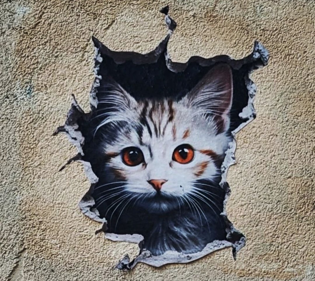 CapriceEnVie's tweet photo. Bonjour tout le monde !
#StreetArt
#geniart https://t.co/LjZz1sH6ft