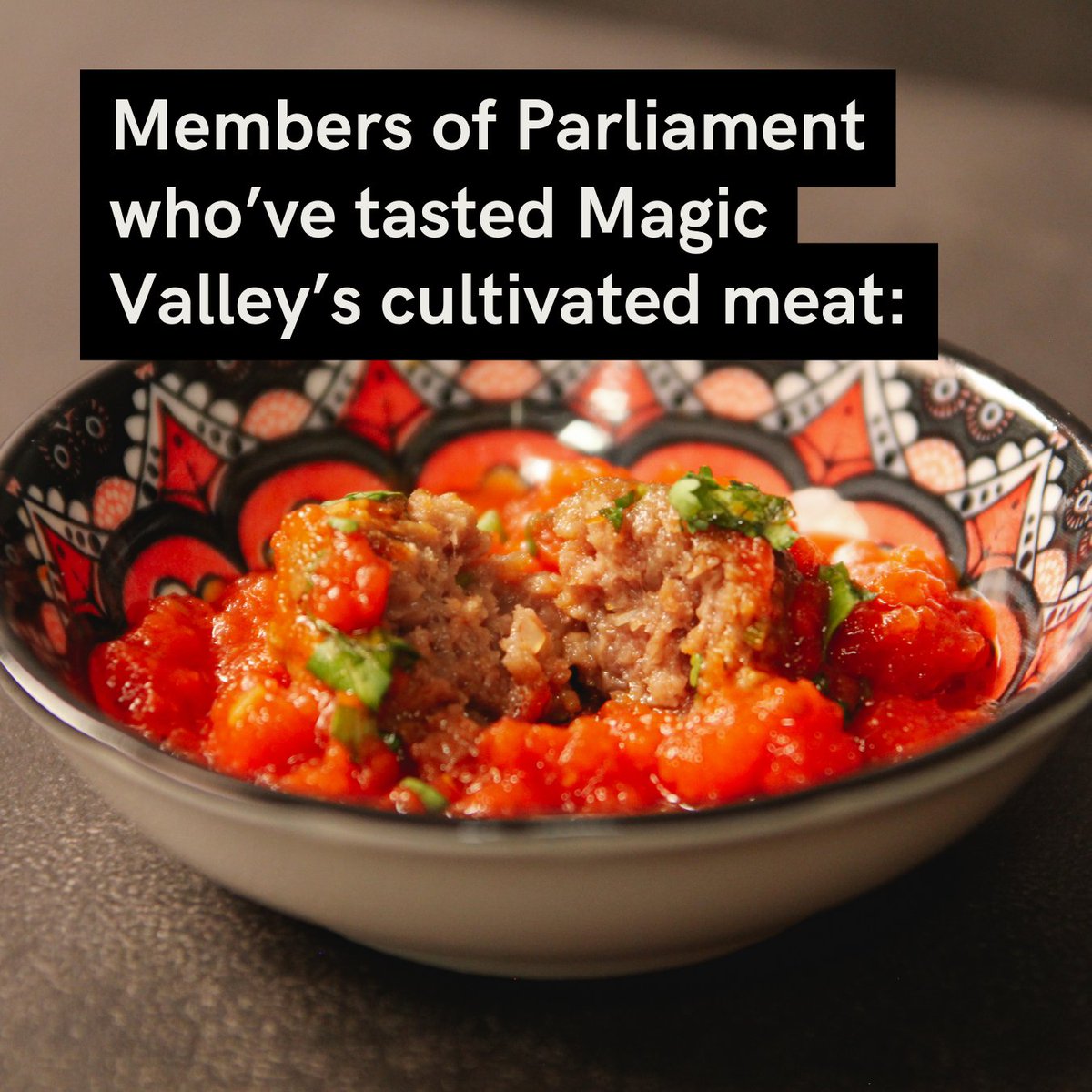 These are the Members of Parliament who’ve tasted Magic Valley’s #cultivatedmeat - and what they had to say about the experience! We’re very grateful for the support of these leaders and very excited for the future of #foodtechnology and #innovation in Australia 🌱🥩