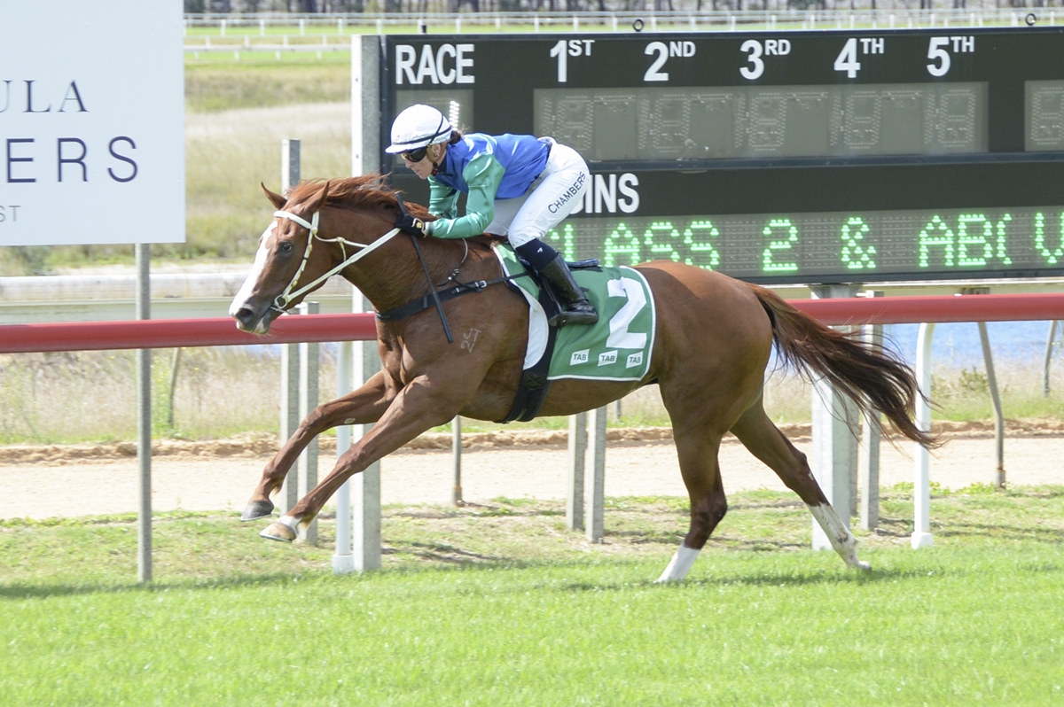 'I've always had a big opinion of her - I'm hoping she can accumulate enough credentials for the Moruya [Newhaven Park] Country Championships' - shorturl.at/HMR67