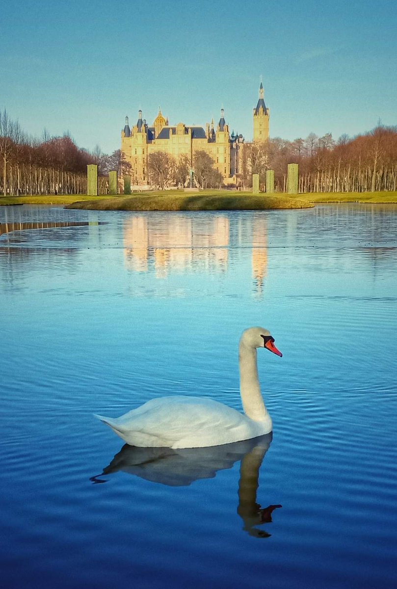 XTanja77's tweet image. 🤍 💙 🤎 💙 🤍 💙 🤎 💙 🤍

#GoodMorningEveryone 

Let's have a great time and 
enjoy this #swantastic 
#Swanday! 🤍  🦢