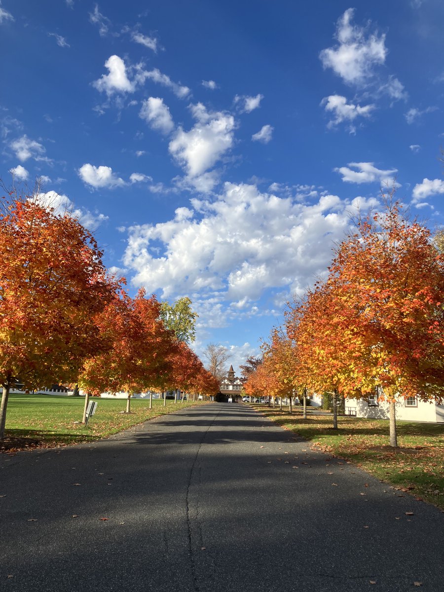 GressiveOa's tweet image. @jimmy_dore DON’T do ur #PanelShow in #Northampton MA in summer! People will b at #beach (short season), in the opposite direction of Northampton.

Come FIRST or SECOND weekend of #OCTOBER when weather ☀️ &amp;amp; #foliage 🍁 are BEAUTIFUL! Locals &amp;amp; tourists drive distance 2 #LeafPeep!