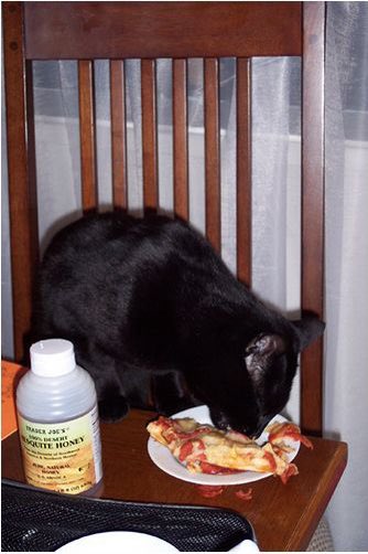 Jojo Lean tweet media