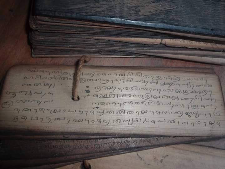 beautyoftulunad's tweet image. &quot;Nature and Tulu culture have an inseparable bond. If we don’t save our nature, we can’t save Tulu language, as well as Tulu culture”…♥️

Tulu culture is mainly based on farming culture…🏝️

#MotherLanguageDay #TuluLanguage
