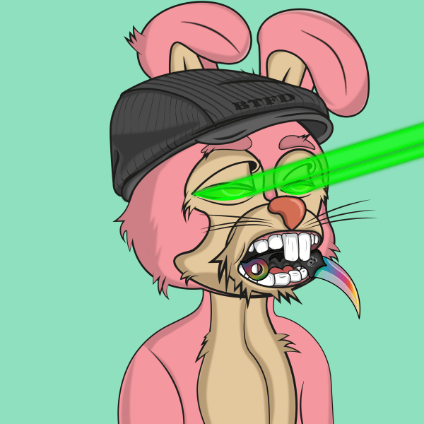 BTFD Adoption Center 🐰🐇 tweet media