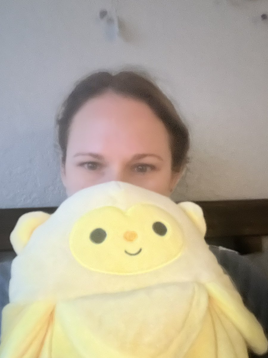 everywheresky's tweet image. I’ve pretty much been in bed since Sunday. I binged the entire Twilight franchise. I don’t have a fever anymore but I’m still so congested. On a lighter note, my friend sent me a squish mellow and he’s so cute 💛