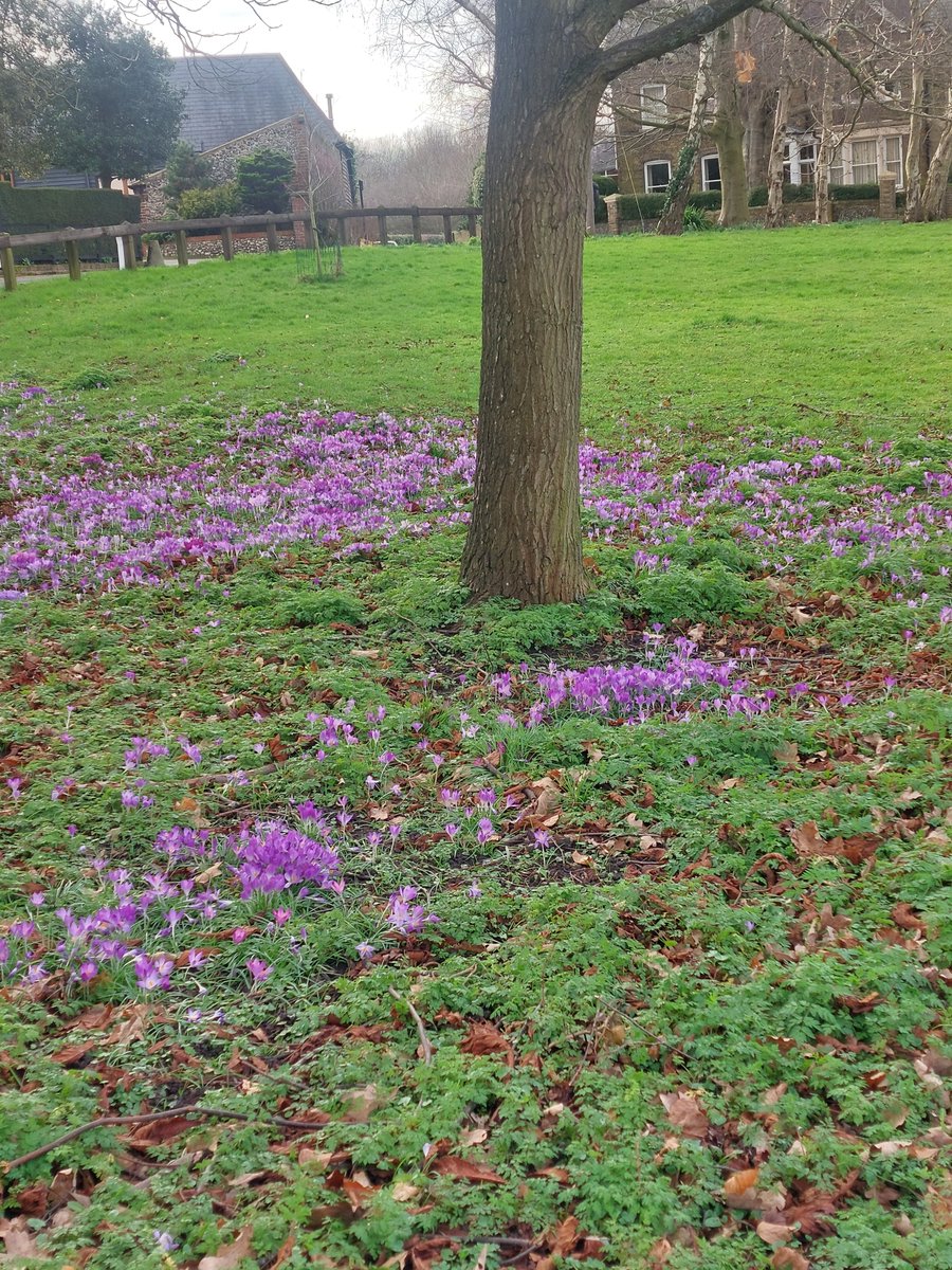 Nature ❤ #meopham #Kent #village #countryside #freshair #fab x Hayley