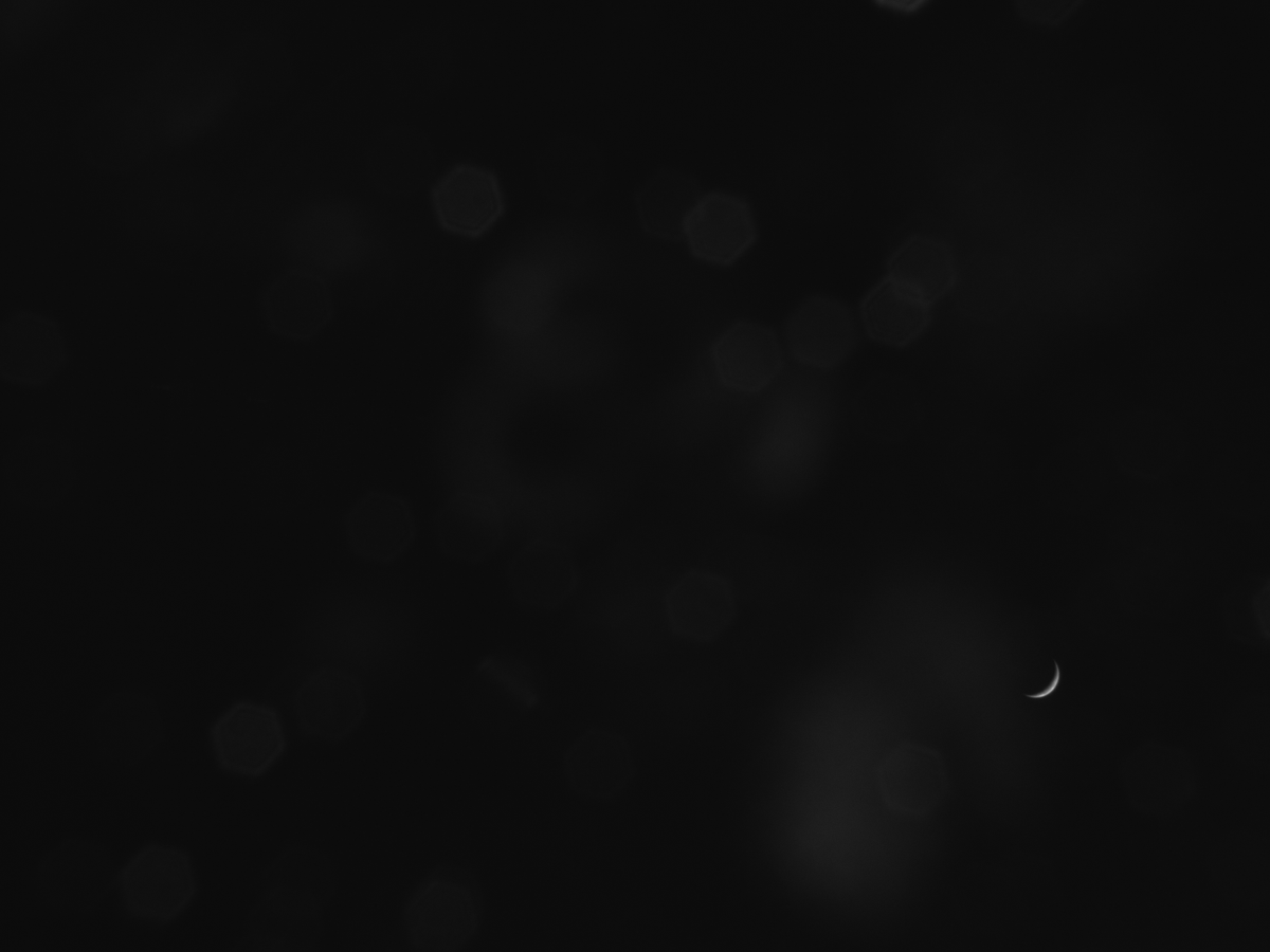 Goodnight, Moon. 

Odysseus captured this image approximately 100,000km from the Moon using its Terrain Relative Navigation camera.