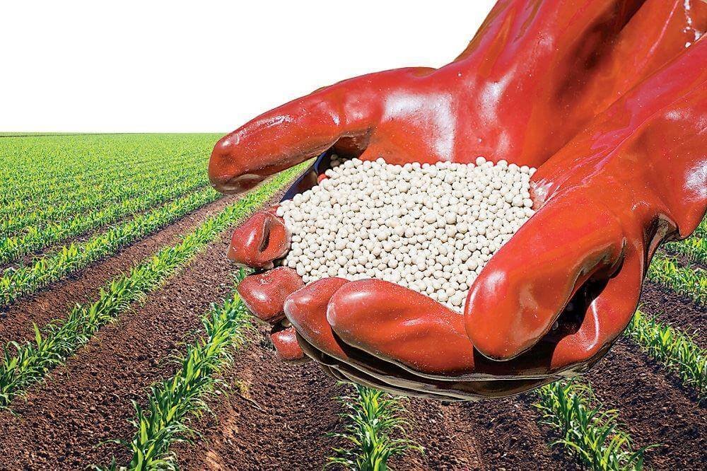 По итогам 2023 года поставки российских удобрений в Индию выросли в 1,5 раза по сравнению с 2022 годом, до 5,4 млн т. Доля РФ в общем объеме импорта удобрений в Индию в 2023 году увеличилась с 15% до 23,3%. Между тем крупнейшим поставщиком продукции в Индию стал КНР — 5,44 млн т.