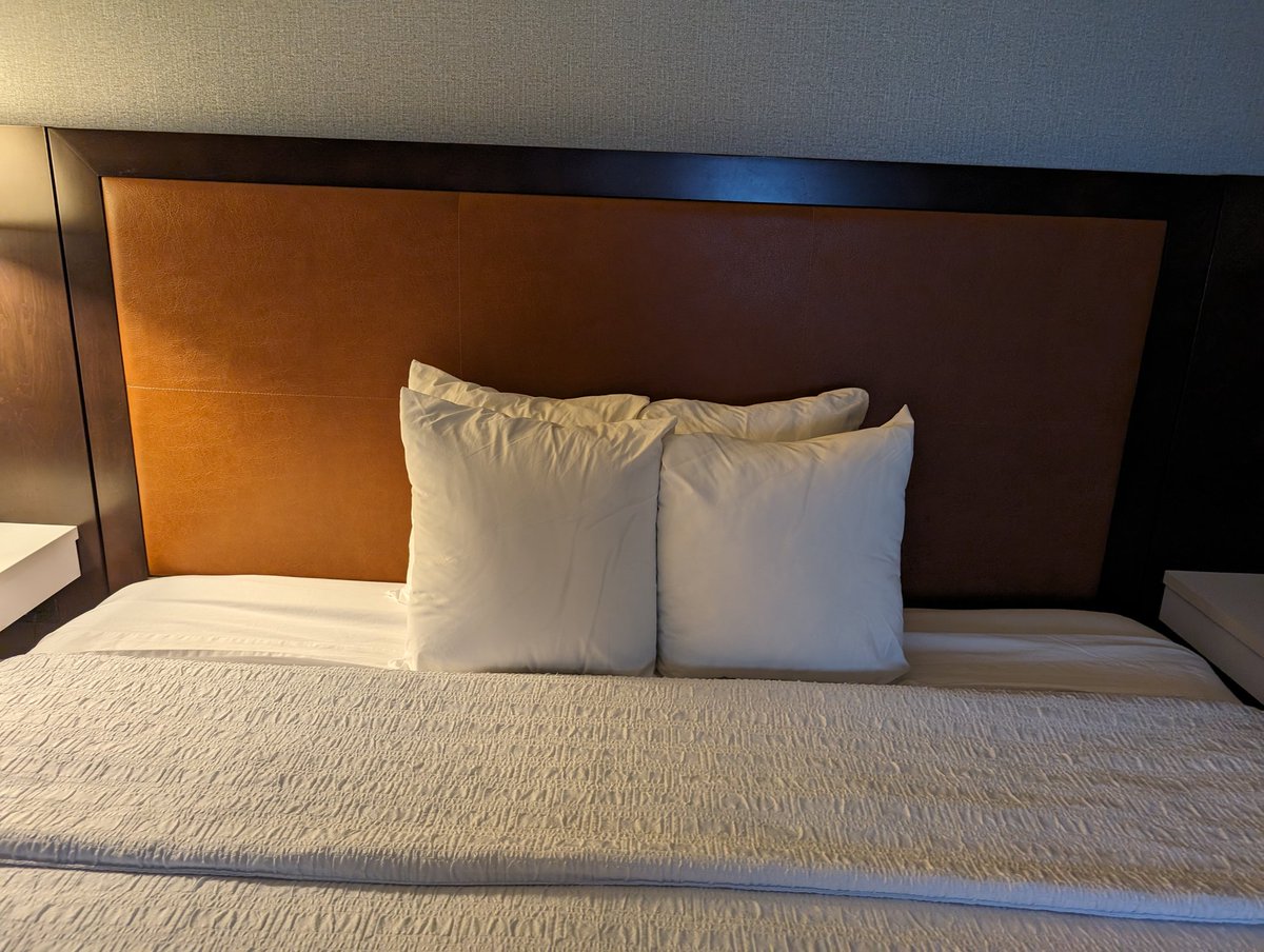 HilJonesOU's tweet photo. @HiltonHotels what's up with these throw pillows being bed pillows on a king sized bed? Especially in a city known for #theking  #hamptoninnbeale https://t.co/Y08YUy5ezz