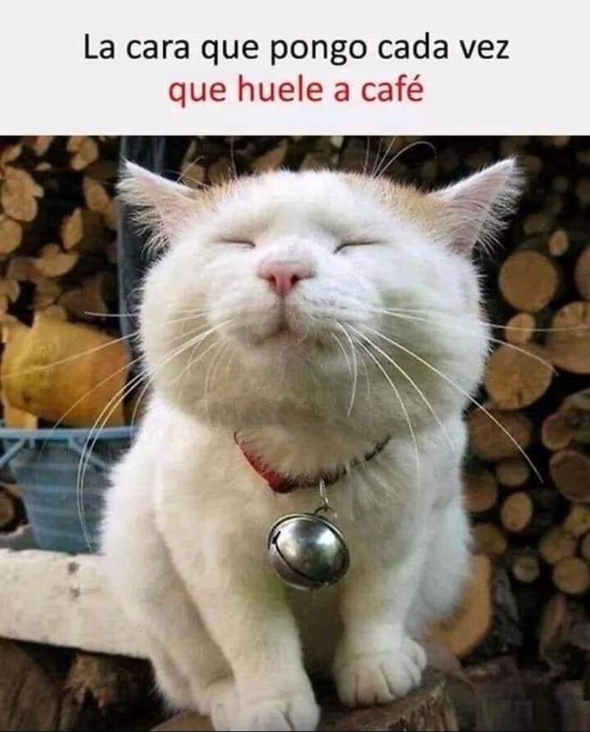 Buenos días