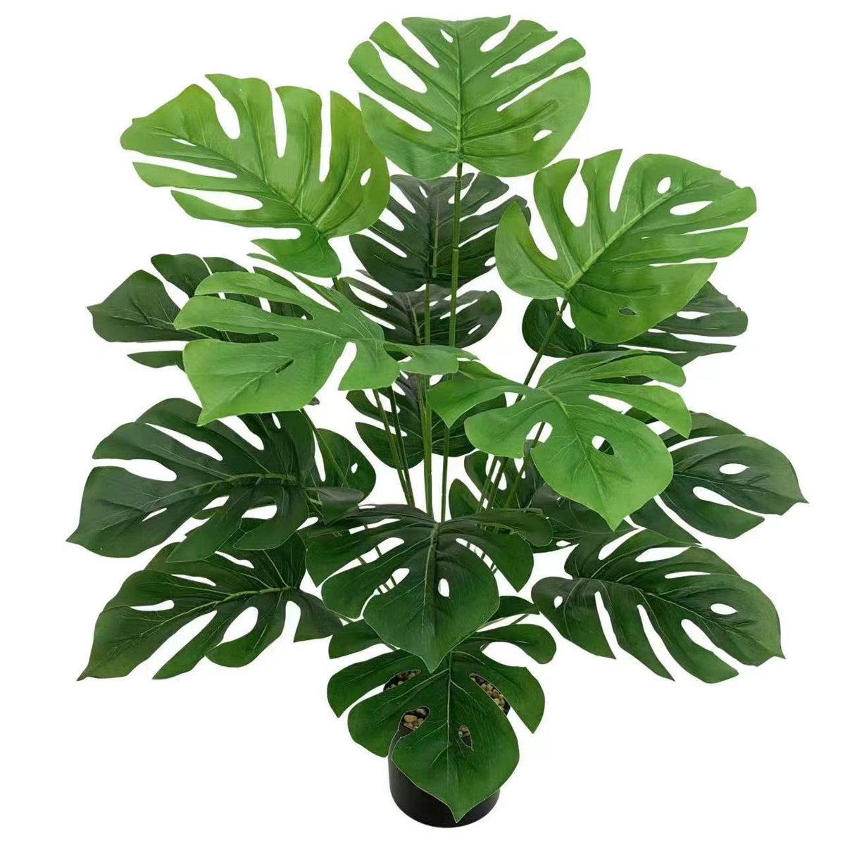 GreenlineaInd's tweet photo. 26inch/18leaf Artificial Monstera Leaf
Please text us via WhatsApp +86 150 6486 8338
sales@greenlineaindustry.com
#JardínVertical #Follajesintético #paisajismourbano #floraritificial #plantaaritificial #GreenlineaArtificialfoliage #fakegrass #artificialivy #cesped #artificialflow https://t.co/qLDl4r4CUM