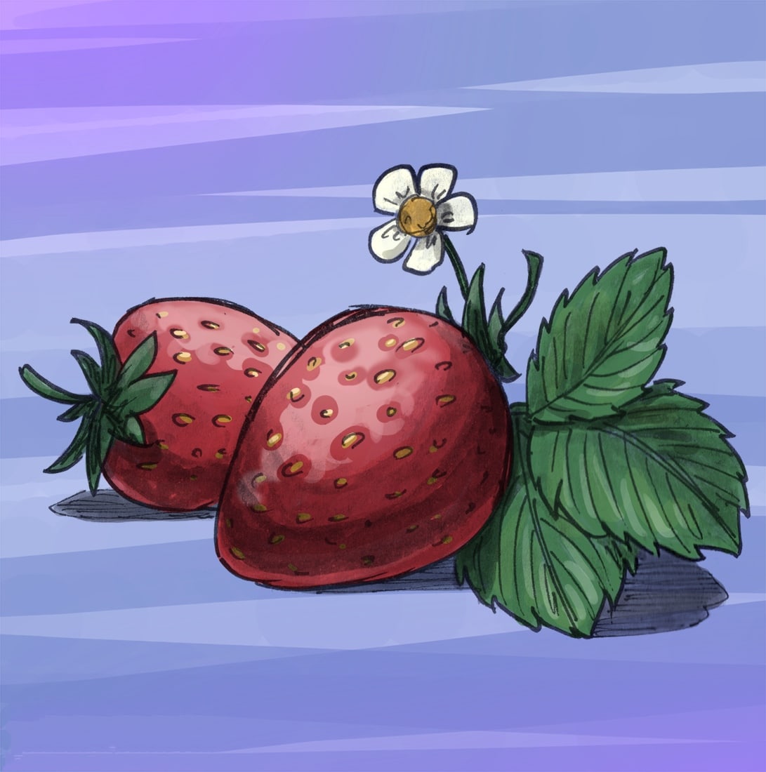 #strawberry #flower #wildnature #nature #environment #draw #drawing #beautifuldrawing #colorfuldrawing #artlife #cologneartist #koelnkunstler #mymuseum #illustrationdrawing #art #digitalart #digitaldrawing #photoshopdrawing #tabletdrawing #traditionalart #inkdrawing #drawnonpaper