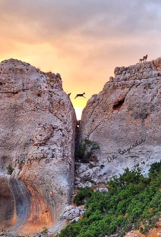 🔹81 İlden
🔹3600 Ek Gösterge
🔹Özel Hizmet Tazminatı 
🔹Ek Ödeme için mücadele eden 
🔹Emekli, çalışan tüm
🔹#KamuŞefleri ne
🌅 Güzel bir KARAMAN sabahından selam olsun!🌅
<a href="/RTErdogan/">Recep Tayyip Erdoğan</a> <a href="/memetsimsek/">Mehmet Simsek</a> @ErbakanFatih  <a href="/_aliyalcin_/">Ali YALÇIN</a> <a href="/Mustafa_Destici/">Mustafa Destici</a> <a href="/avSelmanEser/">Selman Oğuzhan ESER 🇹🇷</a> <a href="/HBTONBUL/">HACI BAYRAM TONBUL 🇹🇷</a>