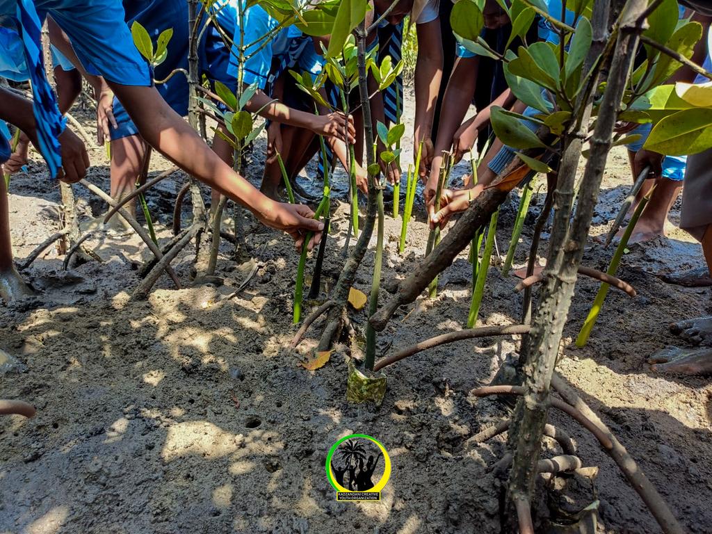 Teenagers who are actively engaged in mangrove planting and peace activities are more likely to carry these values into adulthood. Involving them ensures a diverse range of ideas and solutions, contributing to more comprehensive and sustainable outcomes. #GreenInitiative #4Peace