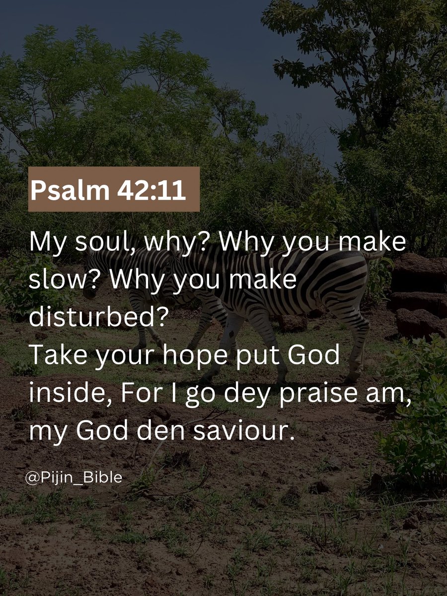 Pijin Bible 🇬🇭 tweet media