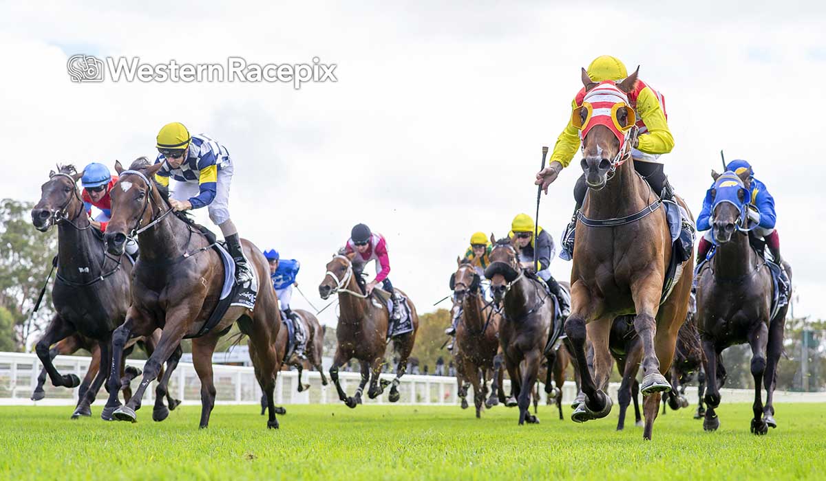 WesternRacepix's tweet image. HERO HUNTER - Ascot Wed 21st February @PerthRacing #WesternRacepix #ChallengeStakesDay

More 📸 westernracepix.com