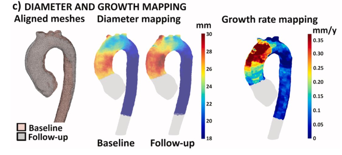 Andrea Guala tweet media