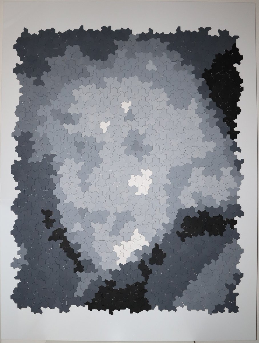 Einsteintegels vinden tweede leven!
"Einstein in einsteins" door Benne de Weger
#MathFest2023