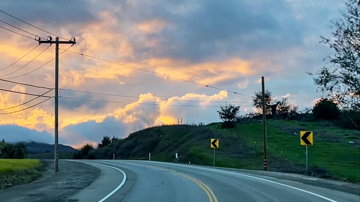 Lily Marston tweet media