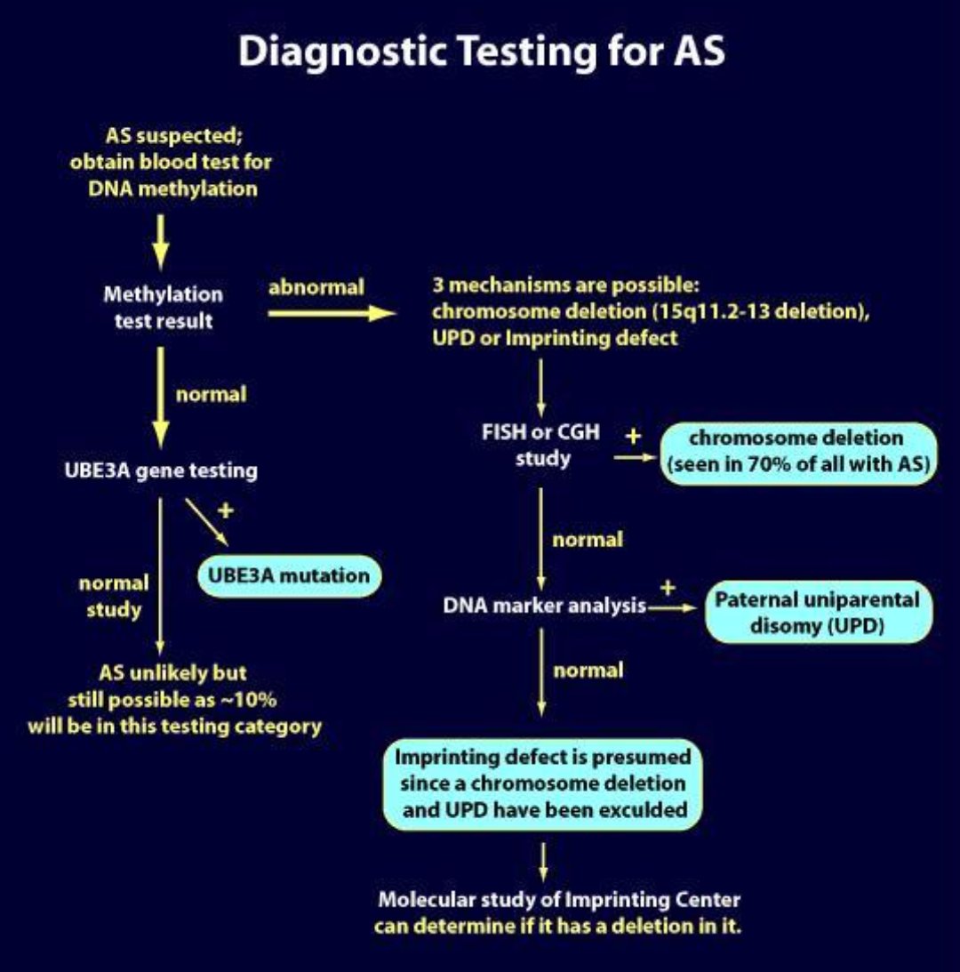 studyrare's tweet photo. Diagnostic testing for Angelman starts w/ a DNA methylation test. If normal, send for UBE3A sequencing. If abnormal, send a microarray (or FISH) to look for a 15q deletion. In practice, some send DNA methylation &amp; microarray together. Figure courtesy of @angelman #GeneChat https://t.co/VPhIabGI1L