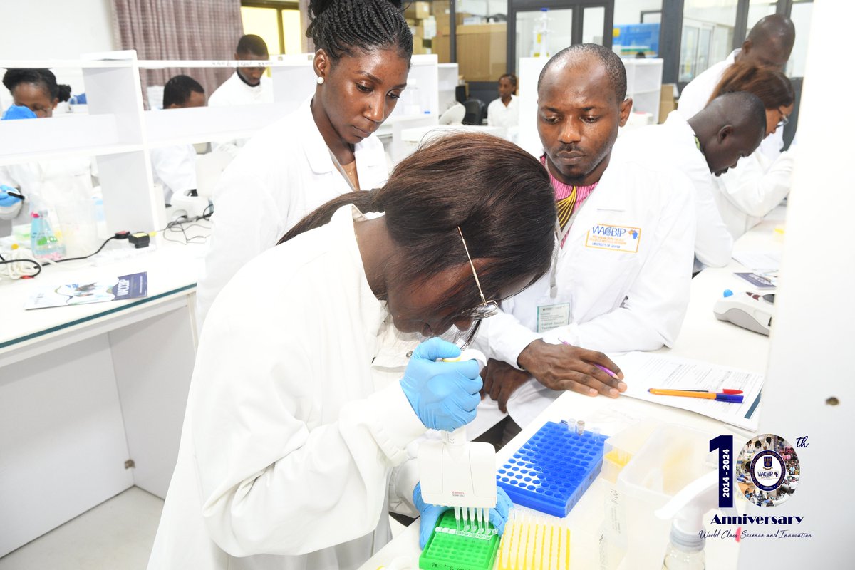 WACCBIP_UG's tweet photo. #Day3 in our Combatting AMR workshop, the wet lab group is tackling DNA dilution for library prep using the Illumina DNA prep kit & also cleaning up excess fluids and removing unbound tags to purify the DNA ahead of sequencing. #AMR #WetLab #DNAprep
#WACCBIPis10 https://t.co/Ss5sqLuE5s