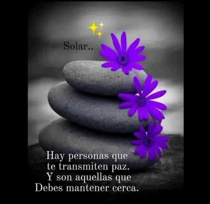 miarianmoreno's tweet photo. 🕊#LosAmigosDeHaydee
💜#TimSofia
🕊#Elifriends
💜#AmigosD❤
🕊@Da__Eliz
🕊@mvf7186
💜@miarianmoreno
🕊@haydeedelpato16
🕊@AmeliaVicencio
💜@ElBlondyRD
@GevCrypto0
@Sonia40933646
@Anabel__RM
@zahoorap1
@america4455
@insaurraldeh
@MariFa05
@Elmaslegal
@JennyDazze
@ApureSniet16319 https://t.co/4dfCyRY9Qq