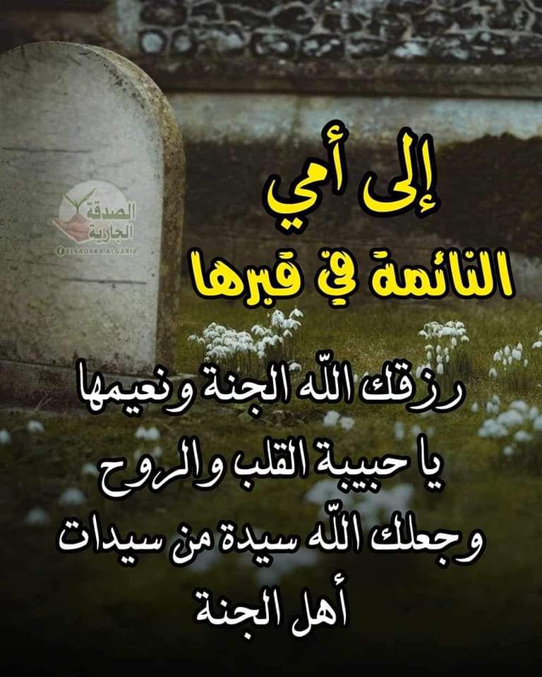 isambashir69's tweet photo. https://t.co/5bLBhmnt2o