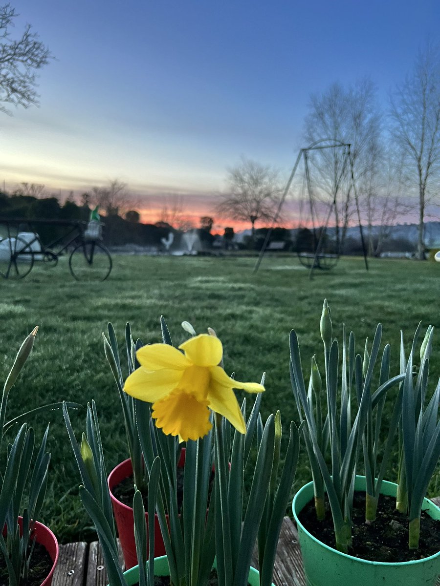 Que nous sommes bien à la campagne…
