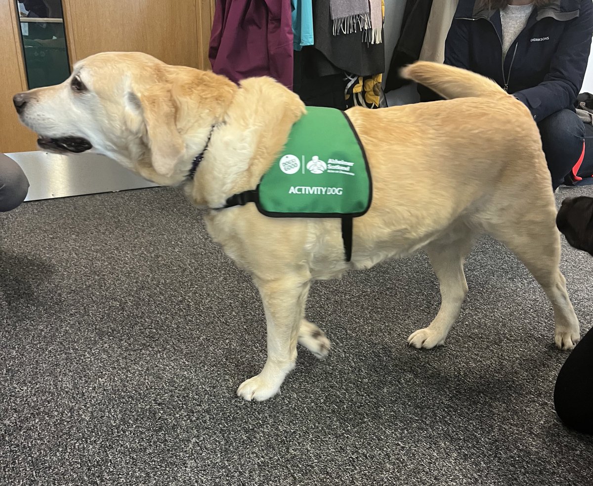 A lovely visitor from the Dementia Dog project which is a charitable collaboration between Alzheimer Scotland and Dogs for Good