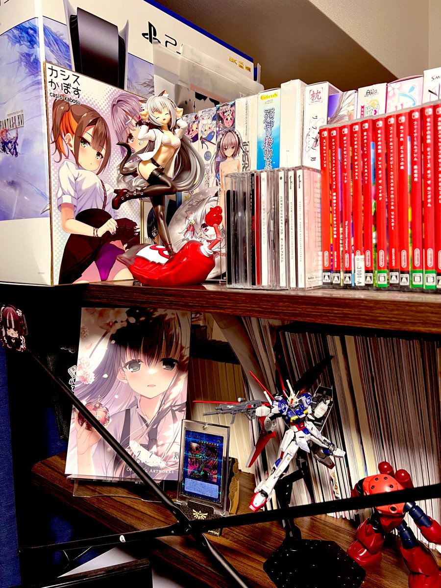 もうちょっと置いてあるものに見境がなくなってきたので新しい棚買って本棚とディスプレイ棚分けようねえ… 