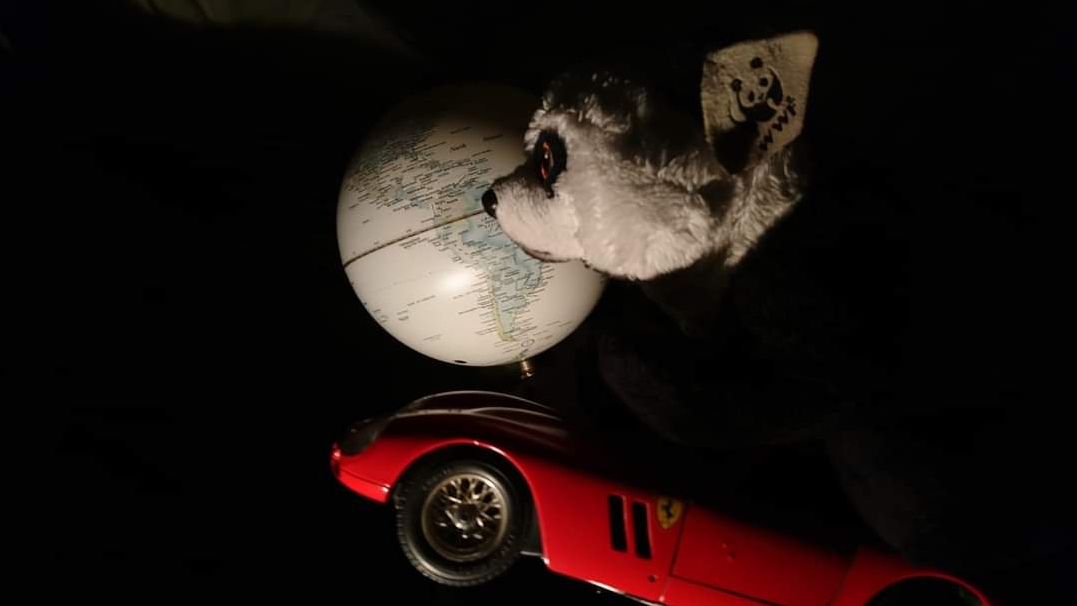 badpandaUK's tweet photo. A throwback to when we decided that if #elonmusk can put Starman in space, we could put a Panda in space. Junior travelled in a #Ferrari and #Starman went in a #Tesla, but I'm sure you'll agree it's difficult to tell the two adventurers apart 😂

https://t.co/UdpKD3noui https://t.co/dFeUEQu3bs