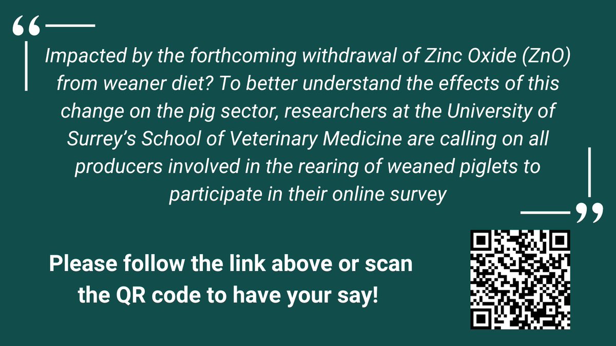 RAFT Solutions Ltd tweet media