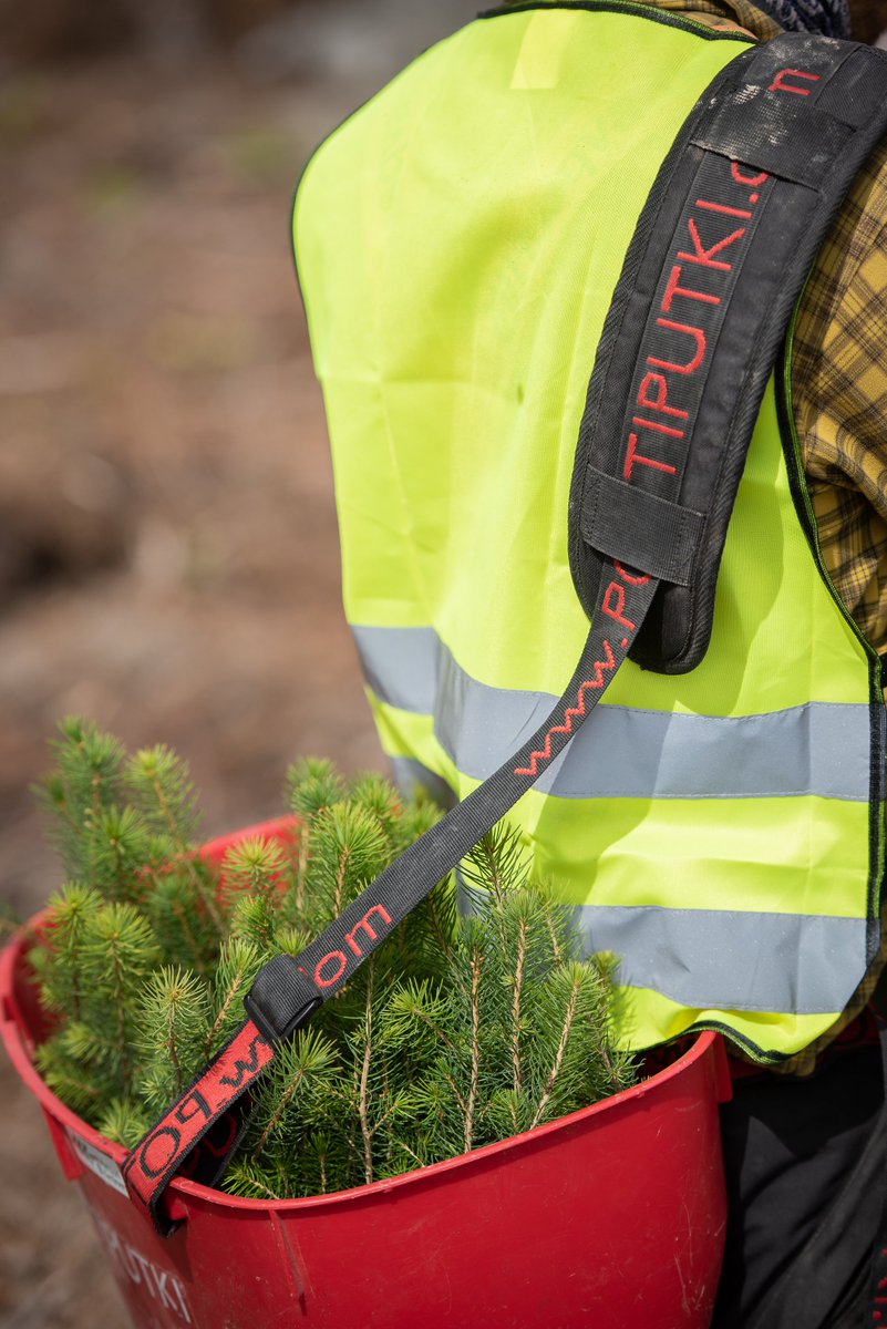 MetsaGroup's tweet photo. Kesätyö, jossa kädenjälki näkyy!

Tarjoamme 16 vuotta täyttäneille reippaille, maastossa liikkumaan tottuneille nuorille istutustöitä eri puolilla Suomea.

Lue lisää ja hae 1.3. mennessä.

Työpaikat löydät hakusanalla ”istutus”.
#VKD #vastuullinenkesäduuni
https://t.co/mxebwb5IMr https://t.co/JmxMhaxQY1