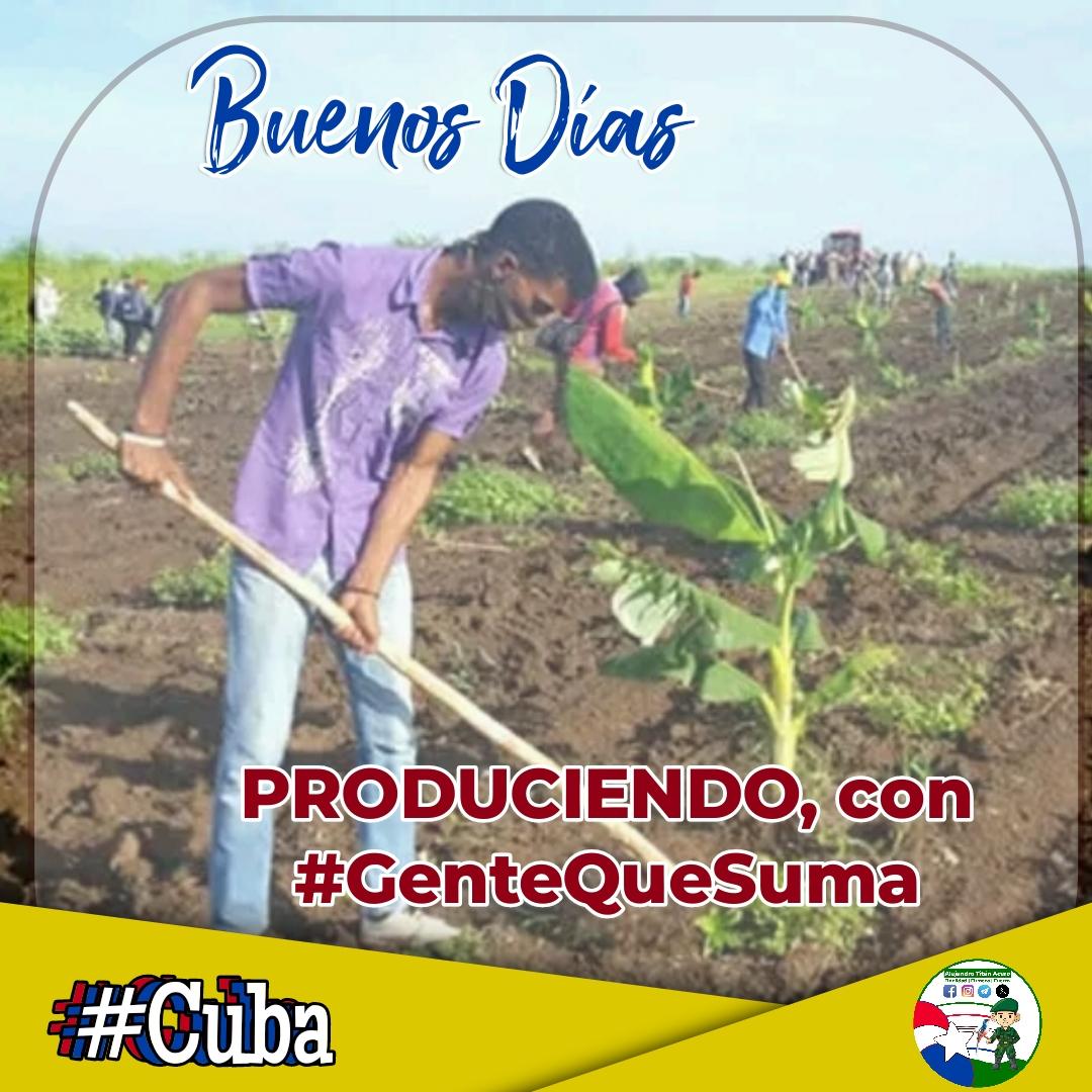 Buenos 👍 días 🌞 😊 😘 #Cuba 🇨🇺 PRODUCIENDO con #GenteQueSuma por el desarrollo socio-económico del país. Demos nuestro empeño y gota de arena en la labor para sustentar nuestros propios consumos en el trabajo y la casa. SUMATE‼️‼️ S @EVilluendasC @ICuba15 @MryRodrguez4