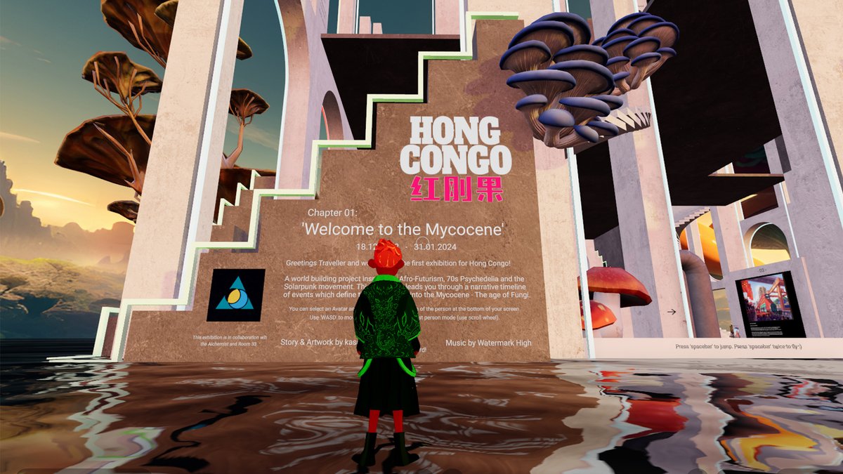 Hong Congo 红刚果 tweet media