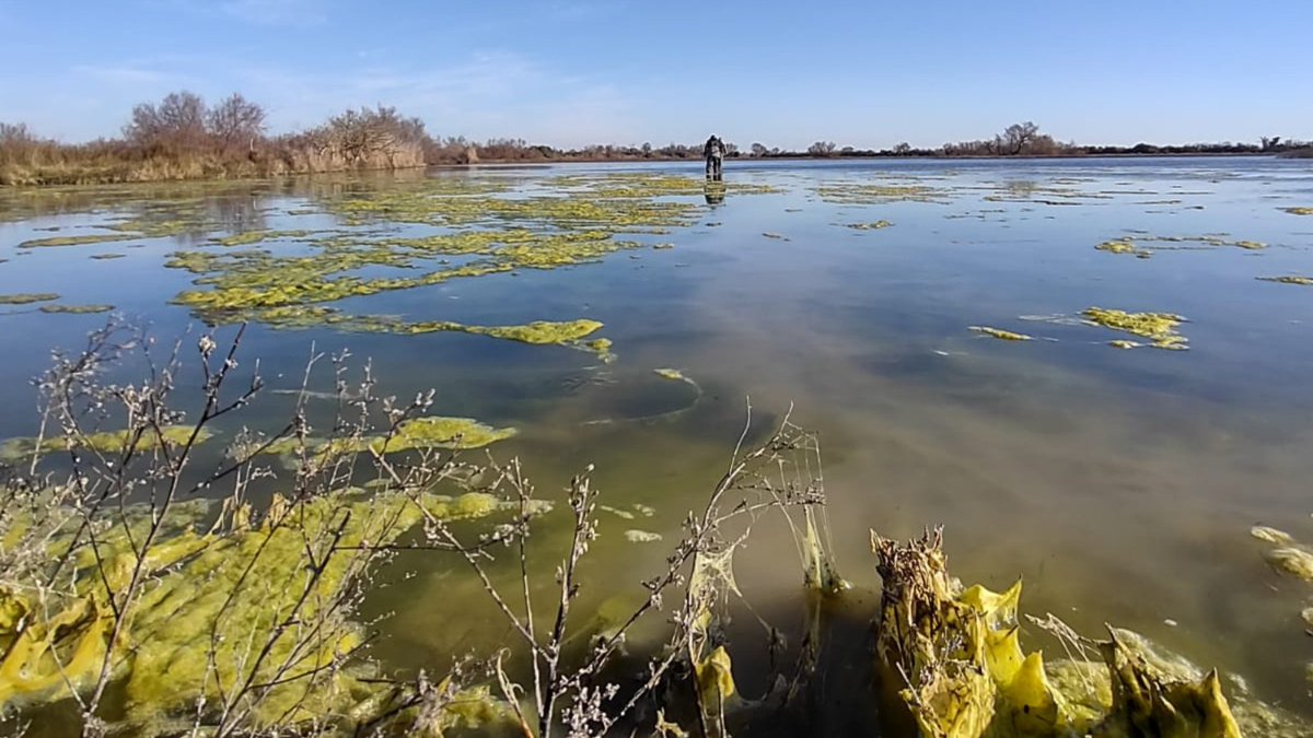 RESTORE4Cs's tweet photo. The 3️⃣rd stop of #RESTORE4Cs winter #samplingcampaign is #Camargue 💧🦩

📍 Next stop ➡ ➡ ➡ #DanubeDelta

▶ https://t.co/Hn0lzxtBdz

📷 by @RESTORE4Cs fieldwork team 🌱💦

#R4Cs #HorizonEU #FieldWork #Wetlands #CoastalWetlands #RestoreWetlands #ConserveWetlands #RestoreNature https://t.co/zTySYcAn4n