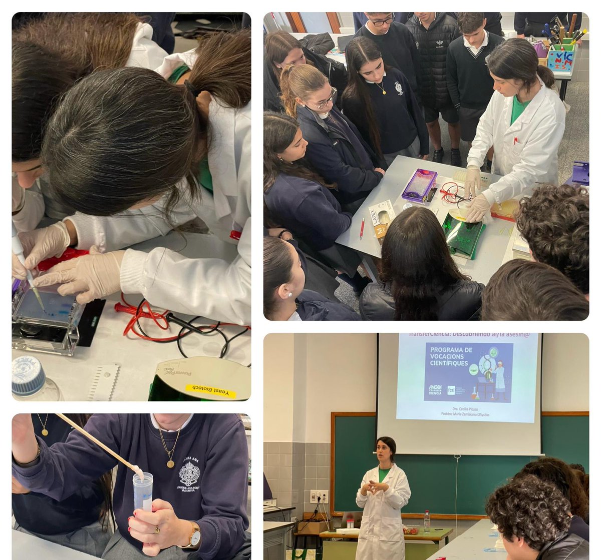 Cecilia Picazo tweet media