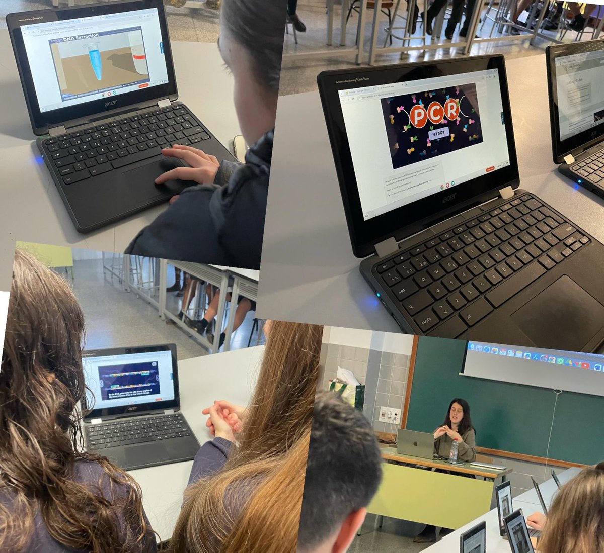 Cecilia Picazo tweet media