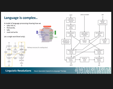 LinguisticReso1's tweet photo. The next topic in our MASTERCLASS: Aphasia.   Explore the complexity of language through this insightful diagram. 📊💬 #Aphasia #Language #Masterclass #complexlanguage https://t.co/tpQqmcXein