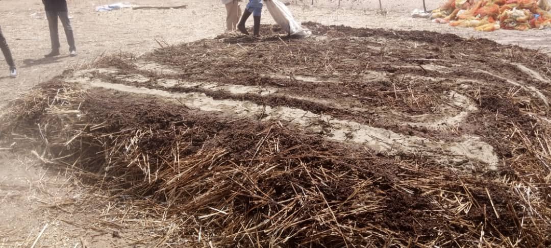 Agronome du Faso🇧🇫 tweet media