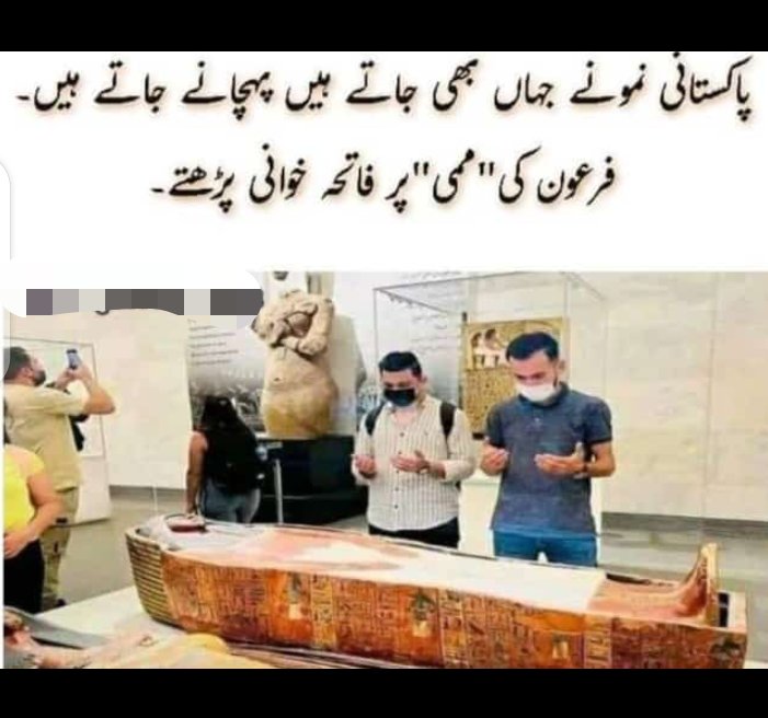 Ap sb kia kehna chaheingy isy dekh k🙂