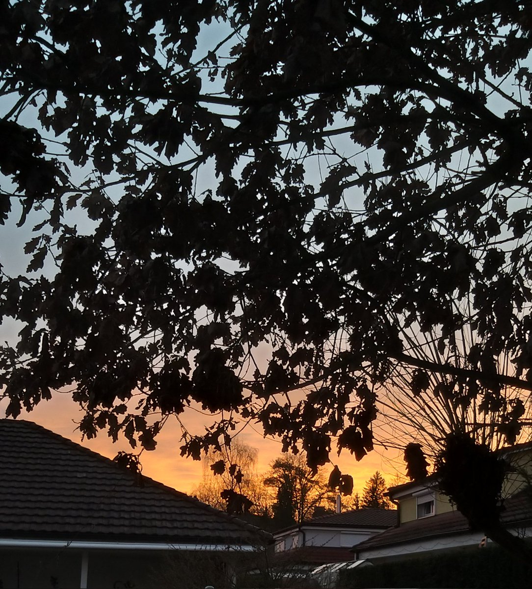 Good morning my lovelies in the #WritingCommunity and the #5amwritersclub! I hope your week is going well. I spent 2 days plotting and discussing a new project with a cooperation partner, now off to a couple of days of AAC coaching. 

#scifi #softsci #sff #Wednesdayvibe #sunrise