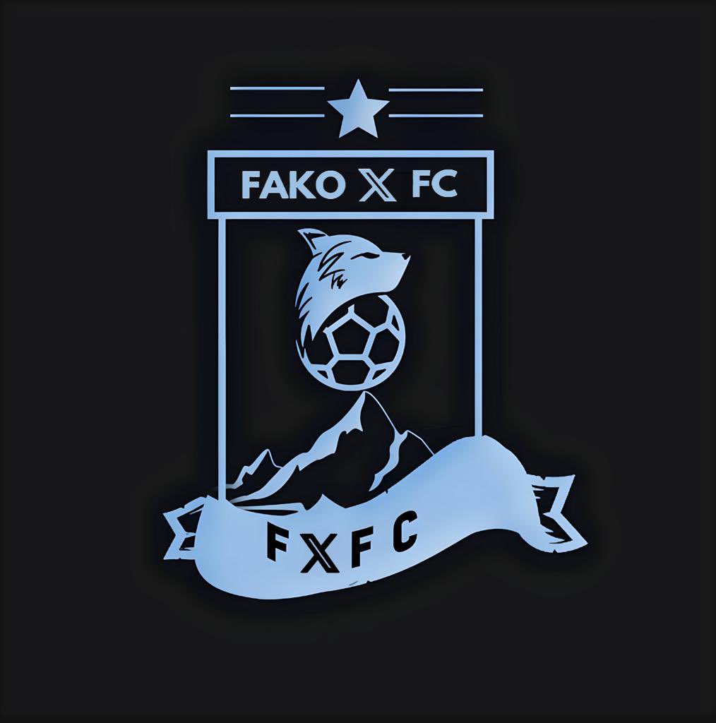FakoX tweet media
