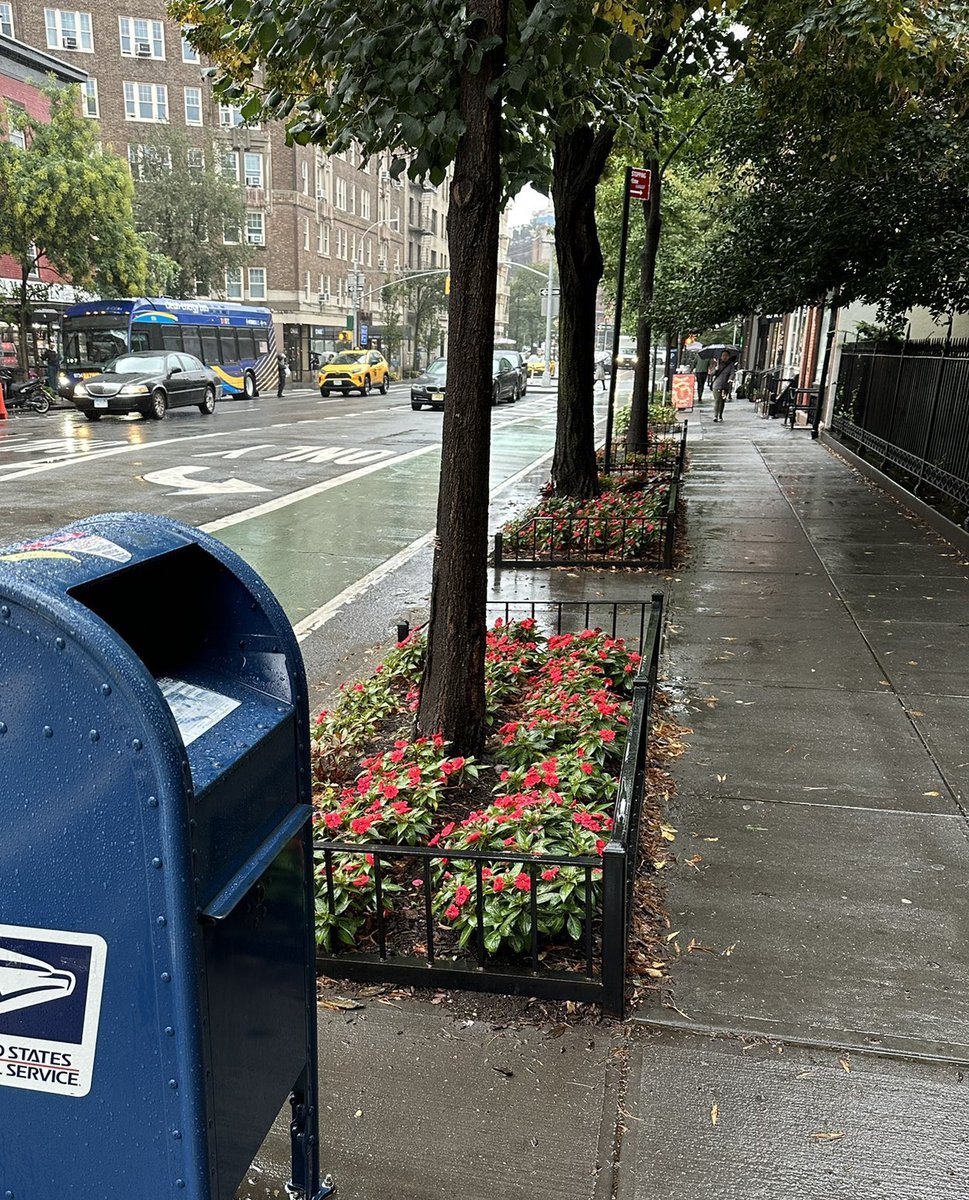 Charlotte Rocher tweet media