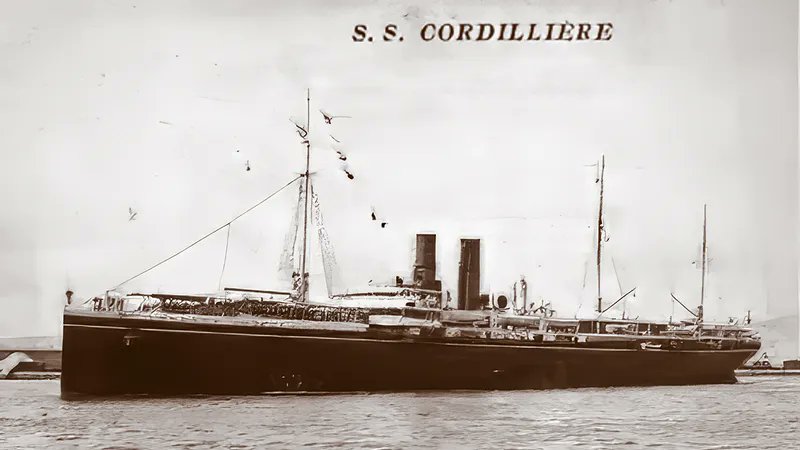 Quand Missak et Mélinée Manouchian, rescapés du génocide arménien, débarquaient à Marseille

Notre récit 👉 france3-regions.francetvinfo.fr/provence-alpes…