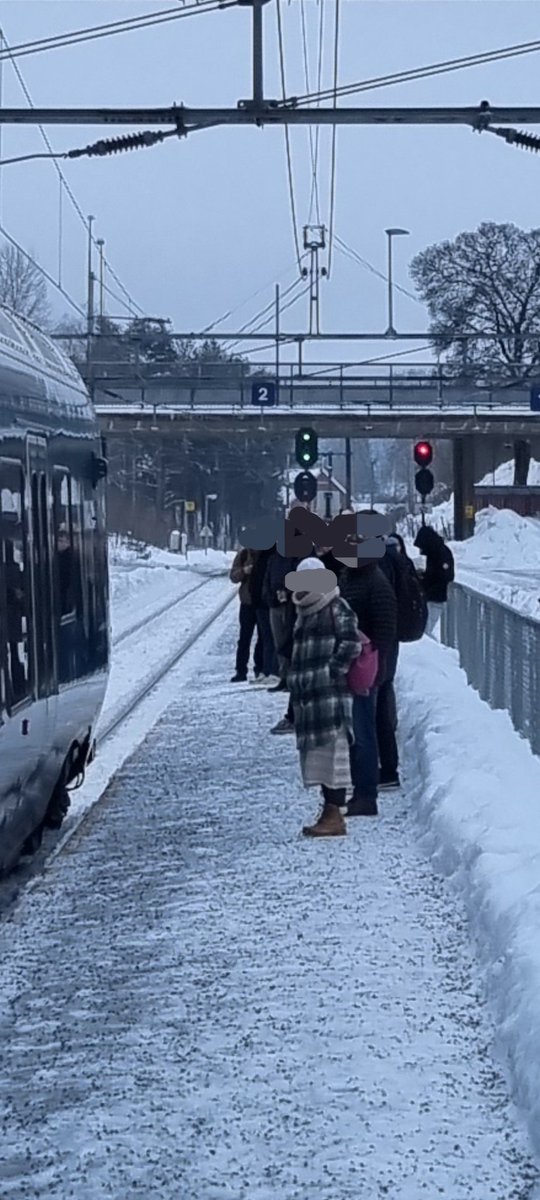 Torbjørn Wisløff tweet media